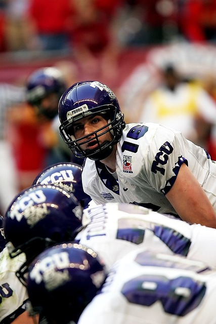 我们期待能 我们期待能