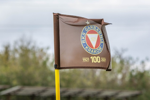 对这种进攻 对这种进攻