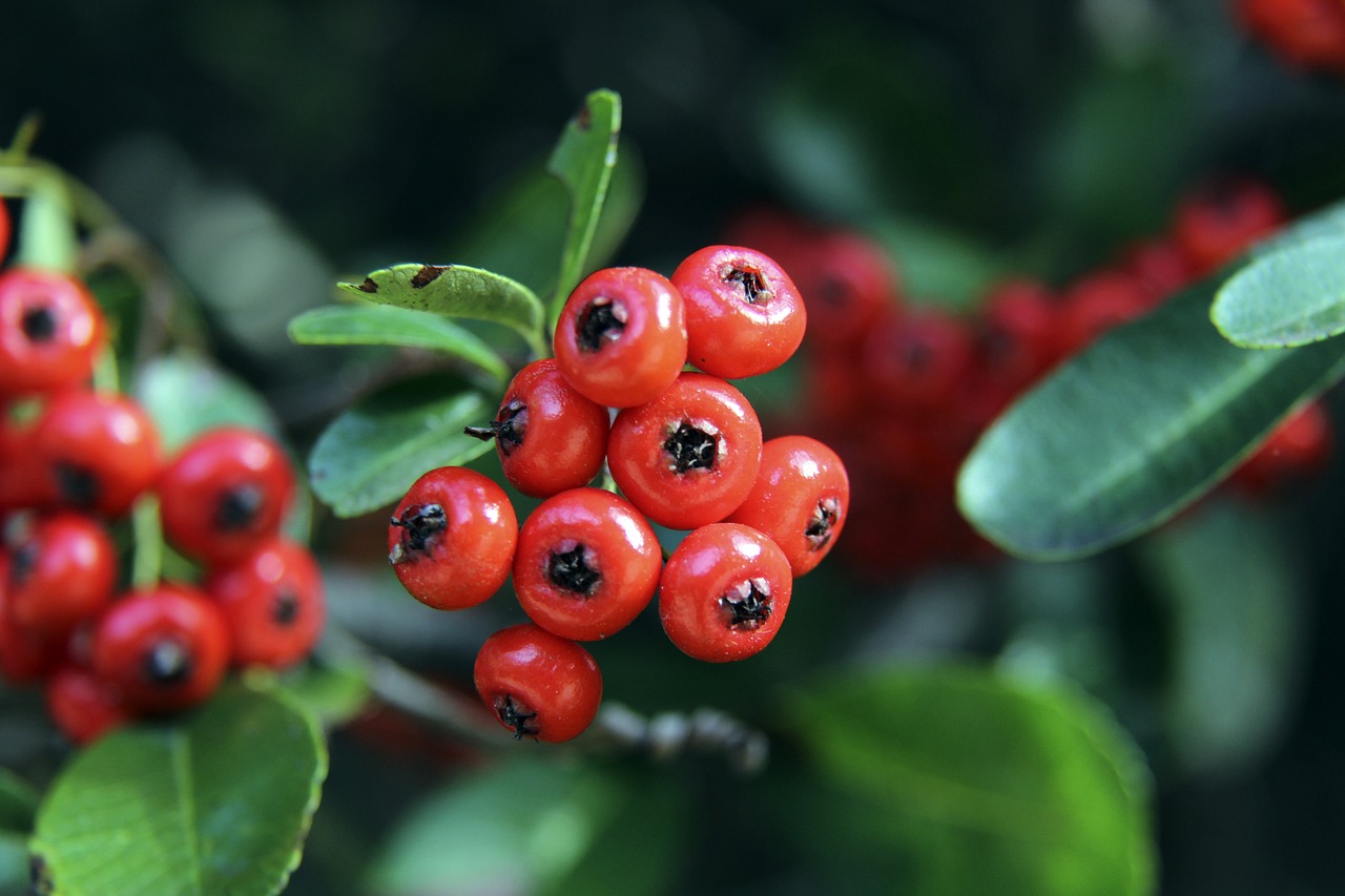 作的空间 作的空间