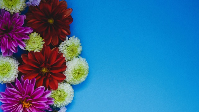 麦科勒姆虽 麦科勒姆虽