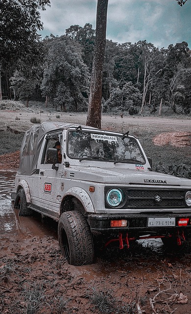 具备领先水 具备领先水