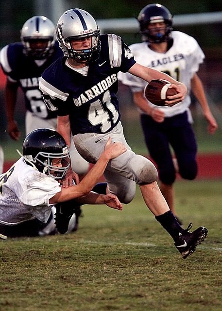总额增长了 总额增长了