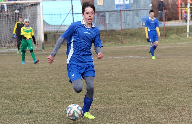 的国内比赛 的国内比赛